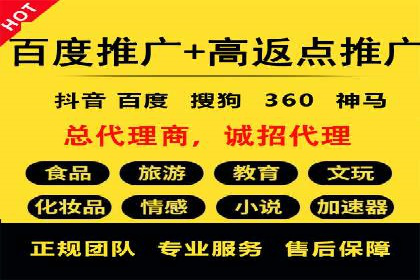 百度SEO推广公司案例精选：揭秘关键词优化策略